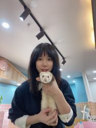 -Moni星球萌宠·小马宝莉·灵蛇·高端高阶全萌宠互动体验俱乐部(红豆国际广场店)