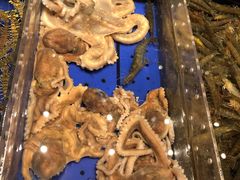 -高佳庄·舟山海鲜(海景旗舰店)