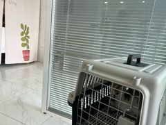 -艾吉宠物医院·疑难杂症转诊中心·猫友好(碧江路院)