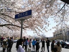 -青岛大学(金家岭校区)