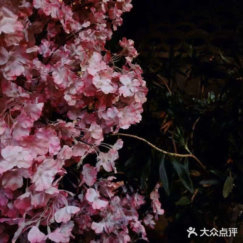 美食探店之野生菌火锅