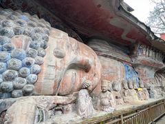-新概念来凤鱼(璧山店)
