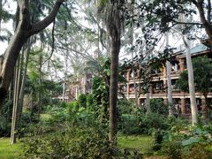 -厦门大学(思明校区)