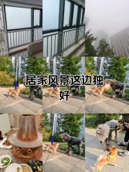 -HEYAN荷妍专业脱毛连锁机构