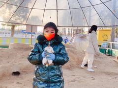-前小桔亲子创意农场·草莓采摘·露营烧烤