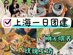 -栖露营camping·天幕烧烤·团建拓展·采摘营地