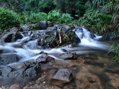 -梧桐山风景名胜区