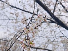 -石峰公园