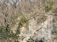 -句容茅山景区