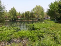 -长白岛森林公园