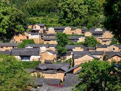 -杨家堂村