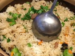 羊松饭-新兴·金羊座·粤菜点心(乐峰店)