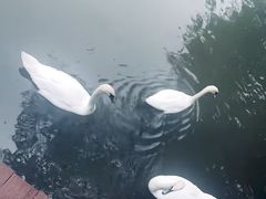 -南昌动物园