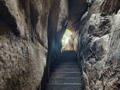 -鲁山国家森林公园