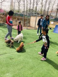 -萌宠亲子动物乐园(槐房万达店)