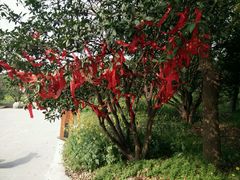 android_upload_pic-三山岛