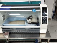 -乖乖宠物医院·猫科·急重症中心(车站北路分院)