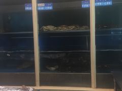 -金时代顺风大酒店(协泰店)