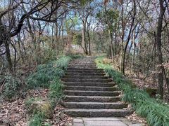 -杭州半山国家森林公园