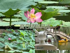 -团结湖公园