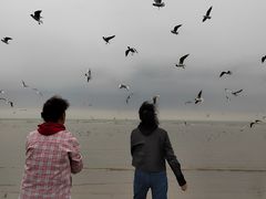 -老虎石海上公园