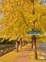 -DL HOPE明星造型