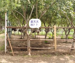 -优沃得自然教育农场·冰雪乐园·生日会·研学