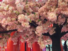 -新城市广场