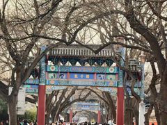 -北京国子监胡同
