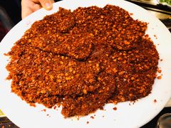 -红鼎坊·老成都火锅(新南门店)