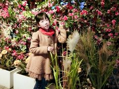 门面-i尚花田电影小镇