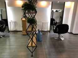 -青禾造型&刺青