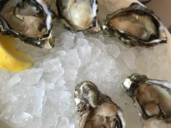 -香港喜来登酒店蚝酒吧