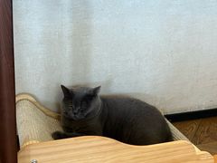 -Me Coffee下午茶艺术空间