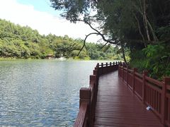 -广州白江湖森林公园