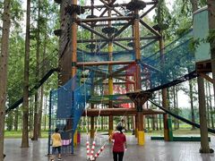 -黄海国家森林公园