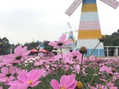 -松山湖梦幻百花洲
