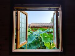-池杉湖湿地公园