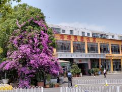 -海埂温馨饭店(金海荟·商业中心店)