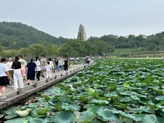 -南北湖风景区