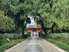 -丁老爷子苏香圆
