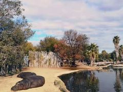 -威勒比开放式动物园