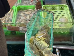 -凯华海鲜火锅·传承三十六年