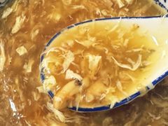 -香港食盈碗仔翅(黄边旗舰店)
