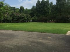 -南宁良凤江国家森林公园