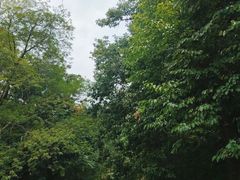 -终南山南五台景区