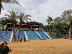 -宝安西湾红树林湿地公园