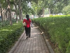 -山东师范大学(千佛山校区)