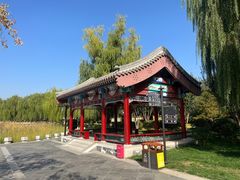 -西海子公园