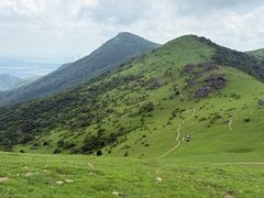 -大姆山草场